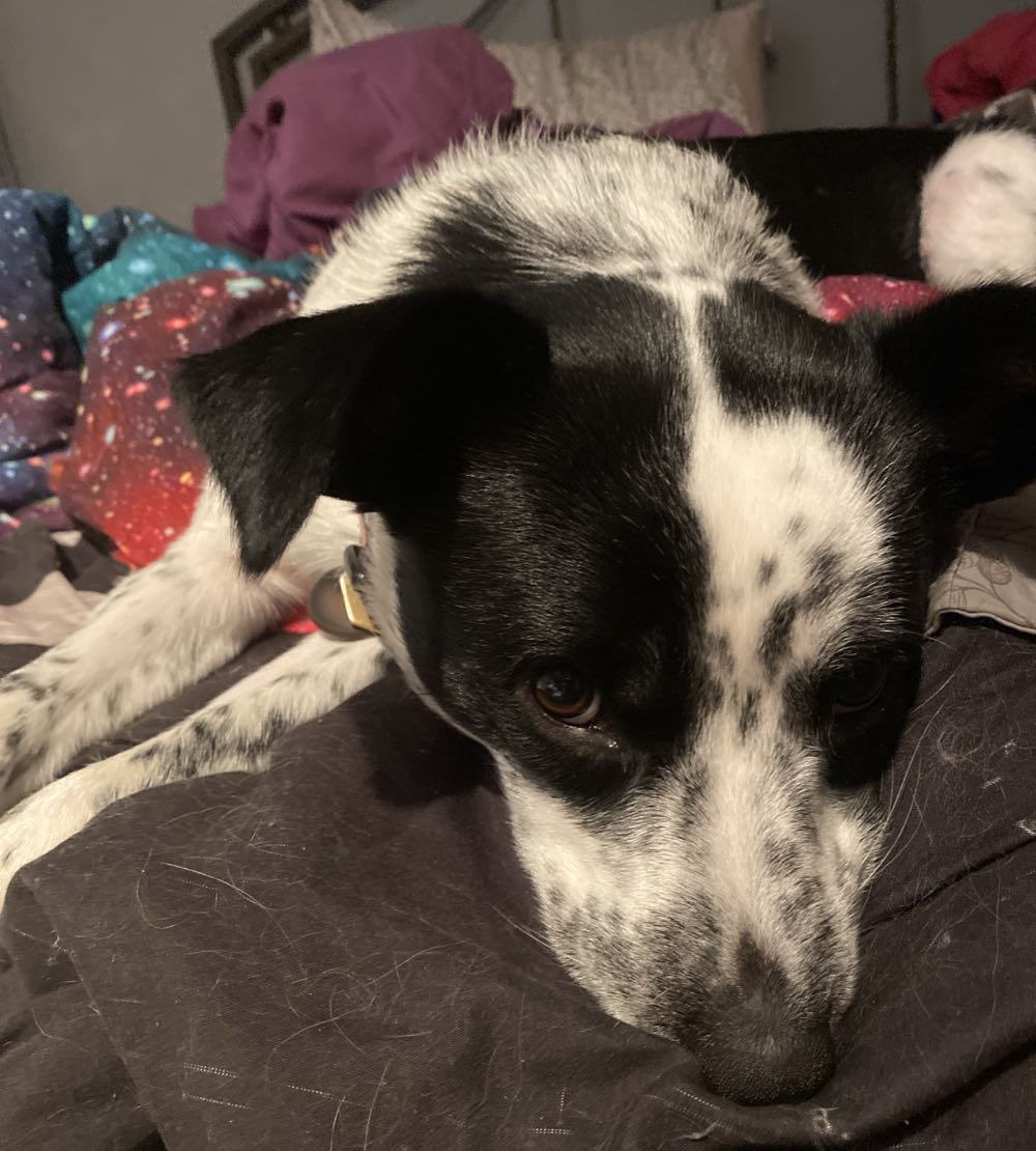 The Incredible Hulk - Marvel Comics (629 - Jul 2011) comic book collectible [Barcode 75960606637762911] - Main Image 4