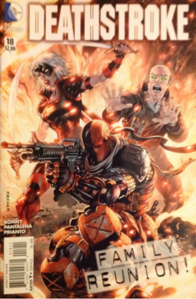 Sandman Vol 9: The Kindly Ones, The