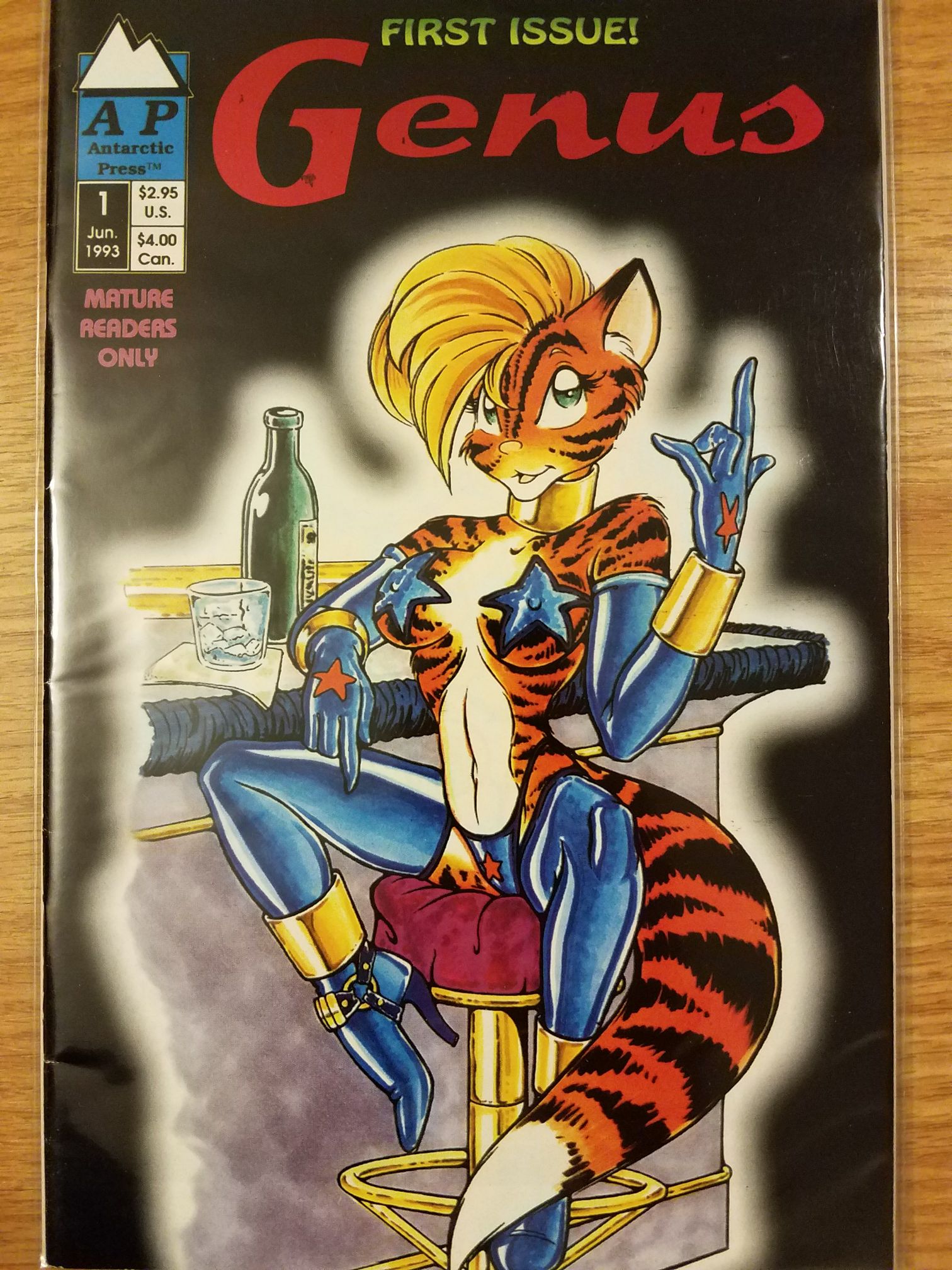 Magnus, Robot Fighter