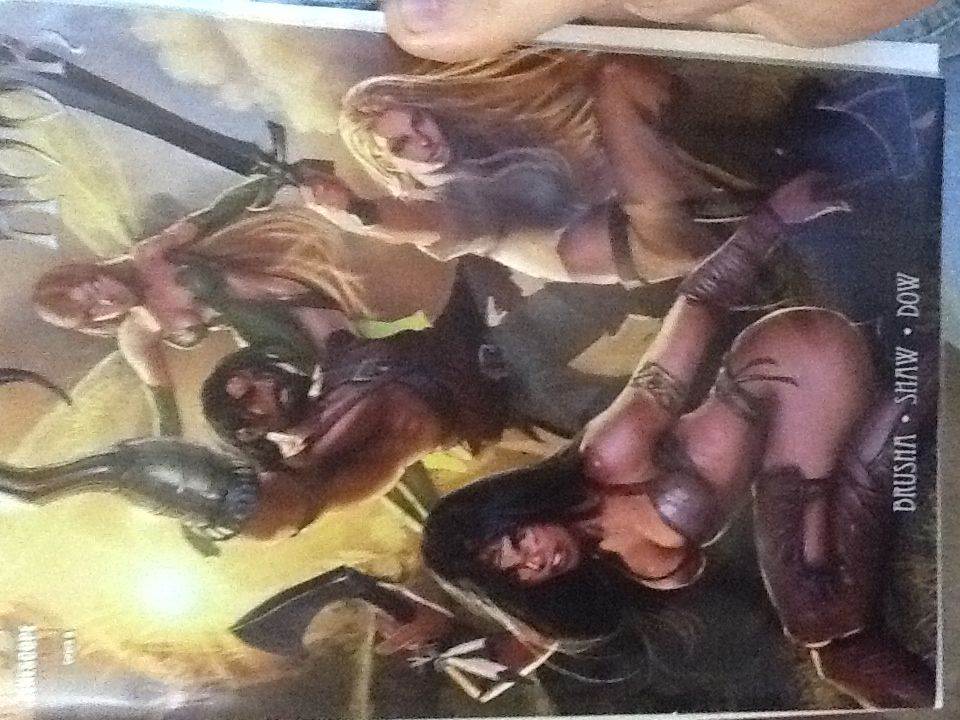 Daredevil: The Man Without Fear