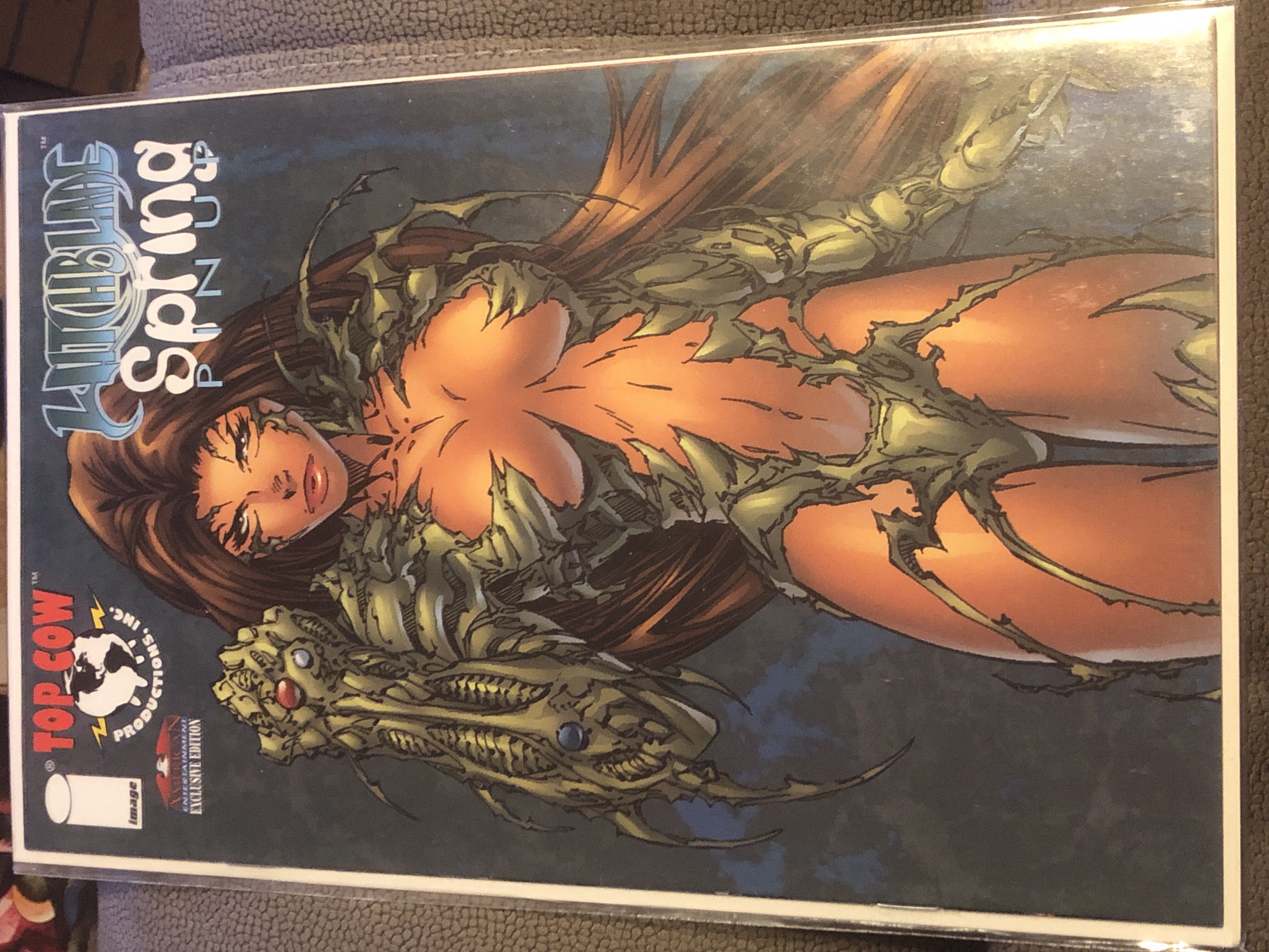 Witchblade -  Spring Pinup - Top Cow (1 - Apr 1997) comic book collectible - Main Image 1