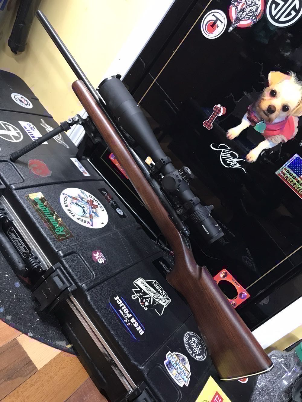 Remington 40x 22lr 28”