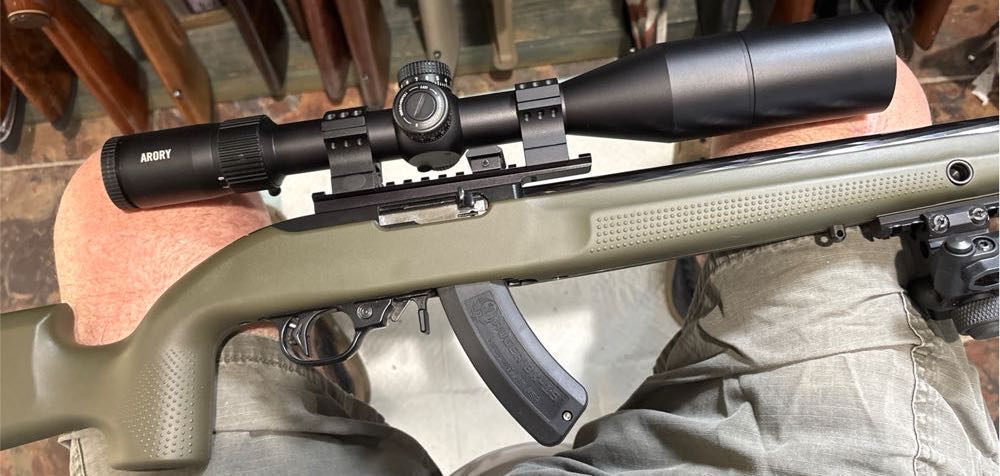 Ruger Custom 10/22