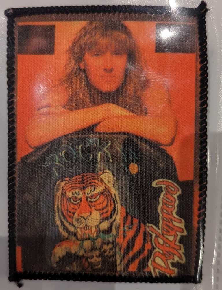 Def Leppard - Joe Elliott