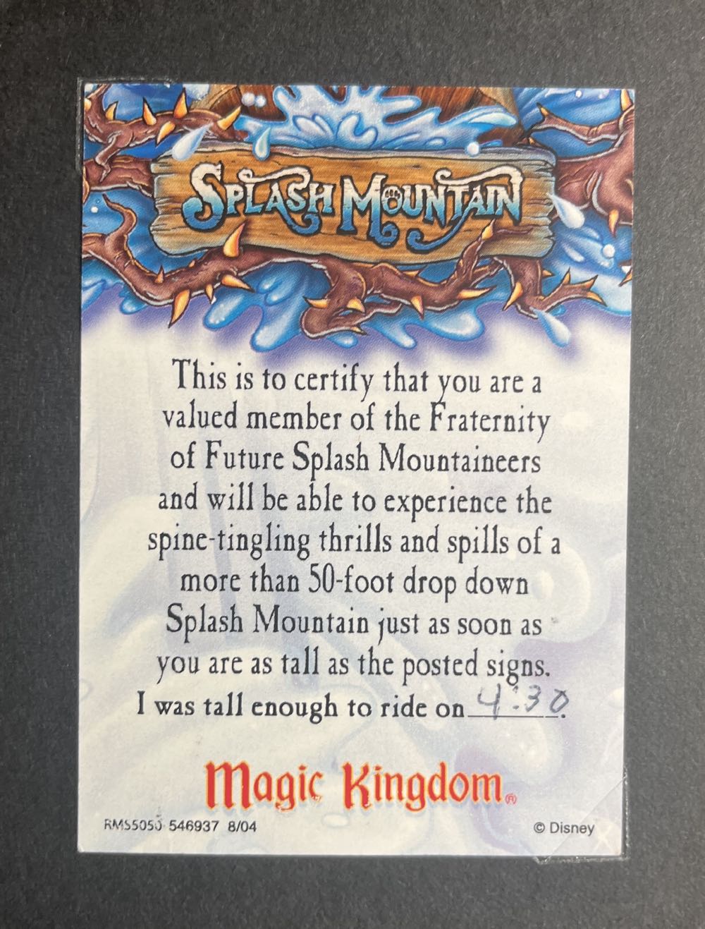 Splash Mountain WDW Mountaineer Card
