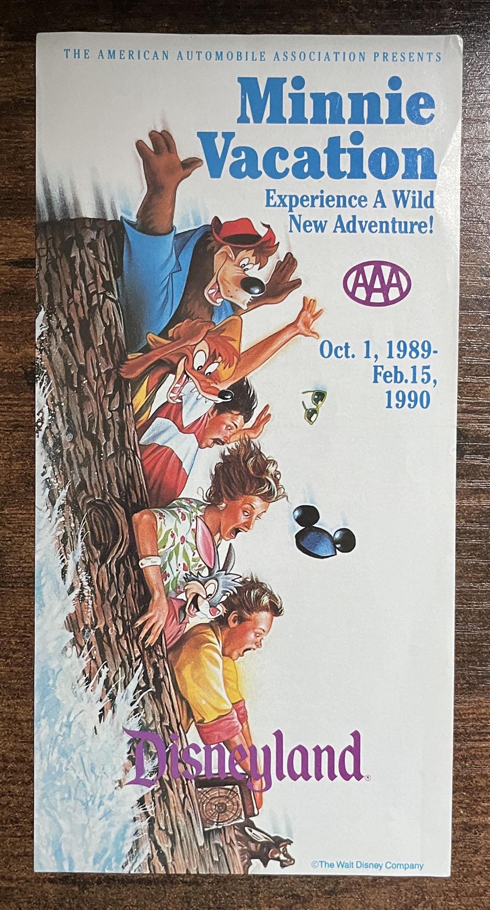 Splash Mountain Disneyland AAA Minnie Vacation Brochure, 1989
