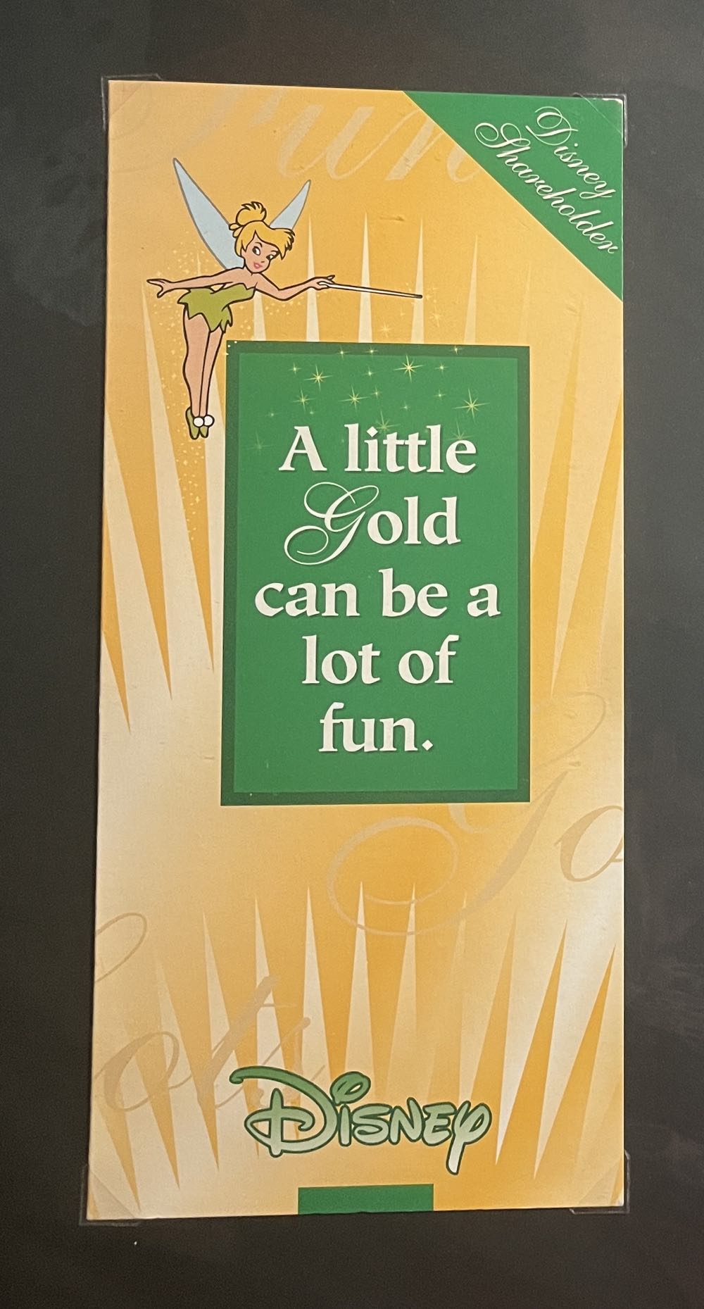Walt Disney Company Shareholder Brochure, 1990s-2000s
