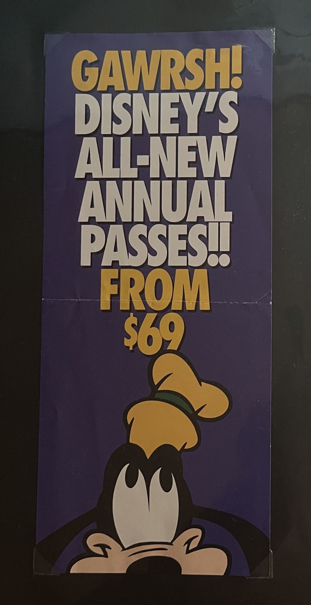 Walt Disney World Annual Pass $69 Promotion Brochure, 2000s