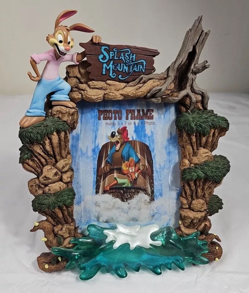 Splash Mountain Disneyland Sculpted Photo Frame (2020)