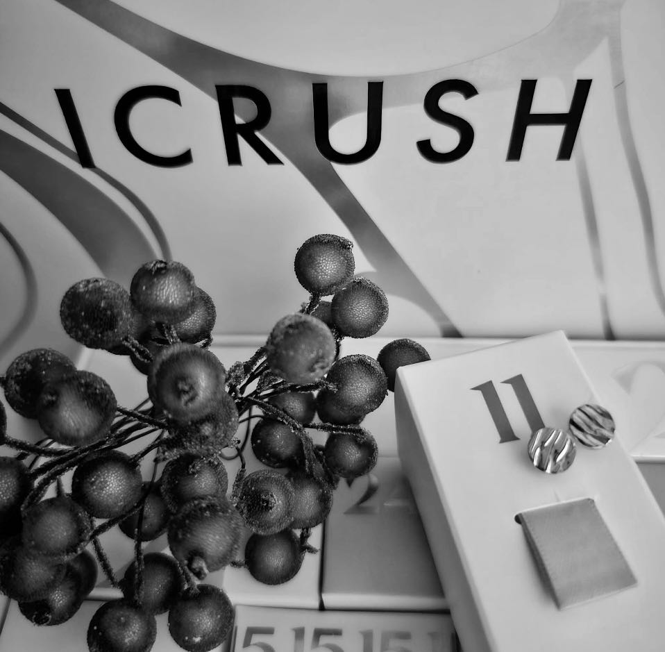 AK24 Wellen Ohrstecker rund