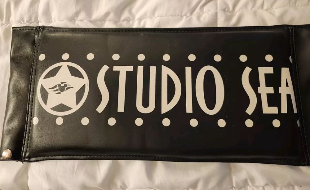 Disney Cruise Line Studio Sea Chair Back Prop