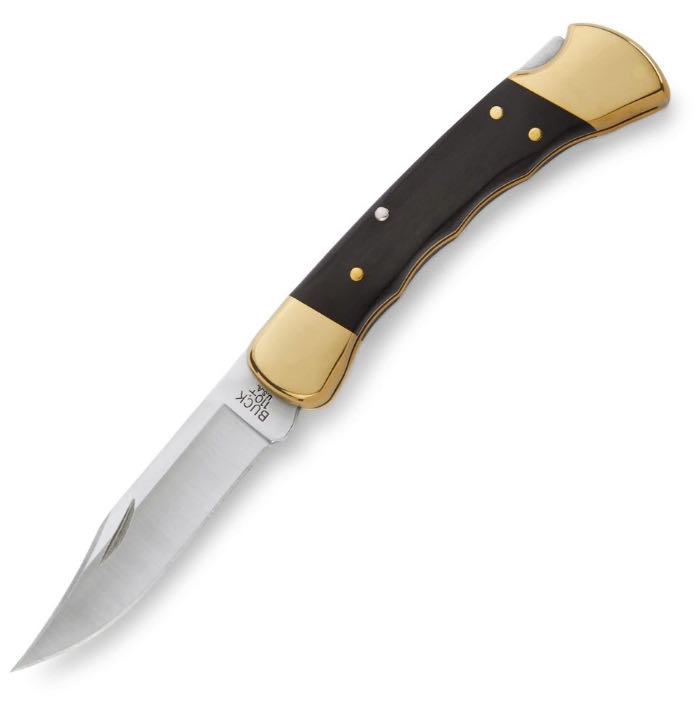 1974-1980 Buck 110 Foldable Knife