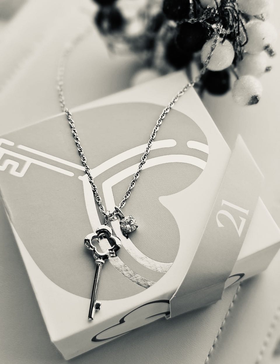 AK25 Schlüssel m. Kette