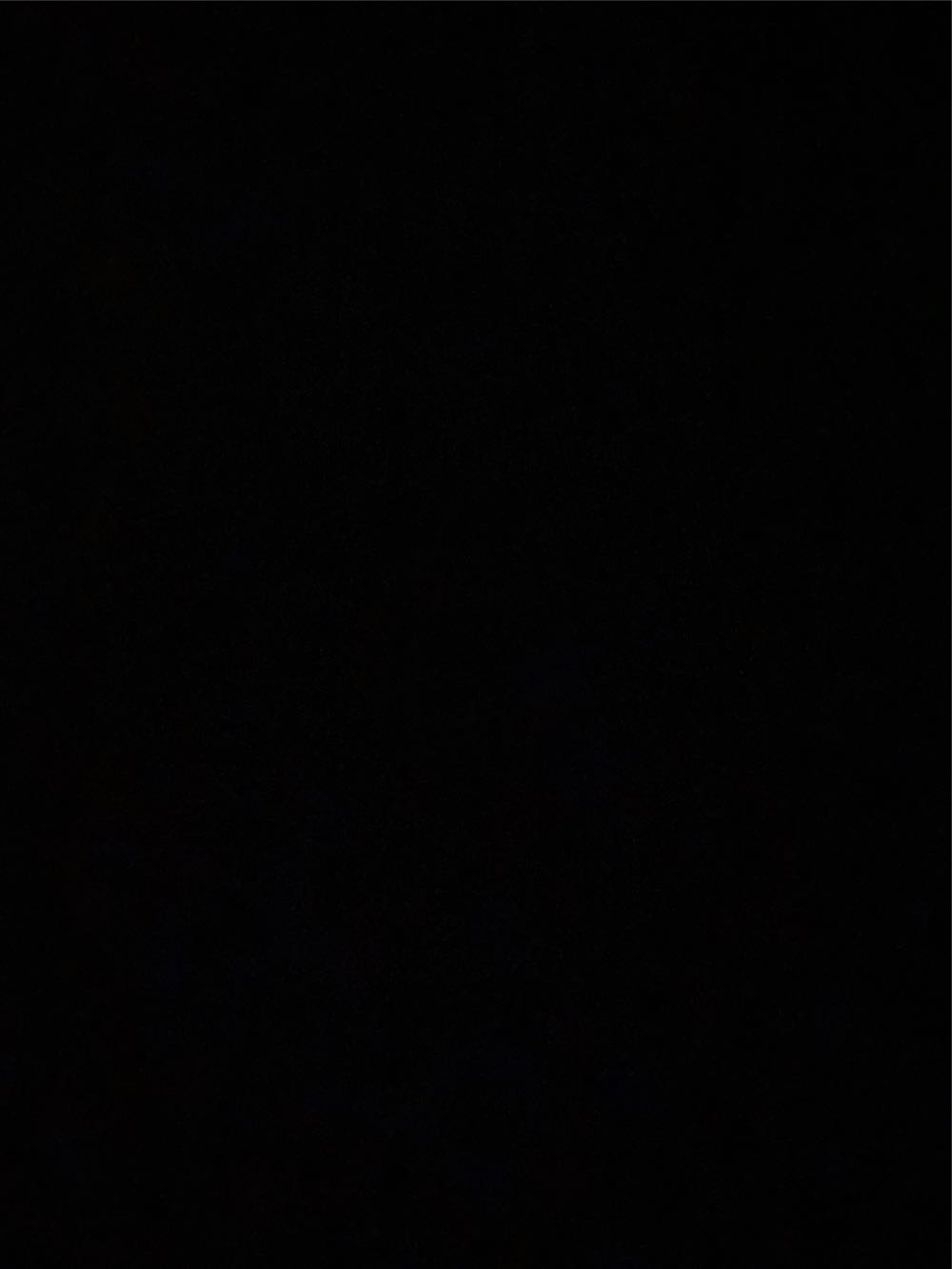 Cleveland Indians - 1954 AL Champs