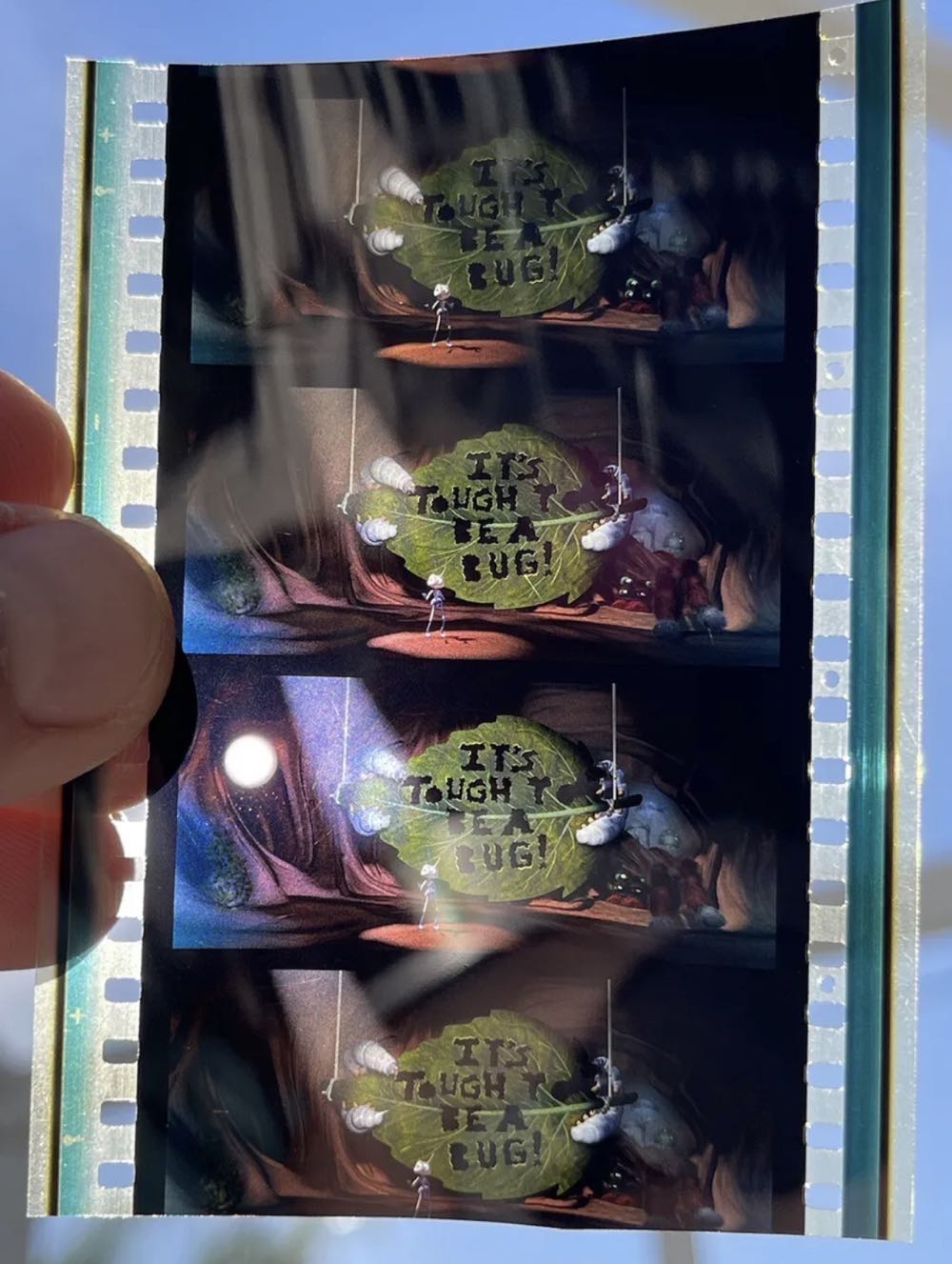It’s Tough To Be A Bug Show 70mm Film Prop (Title Scene)