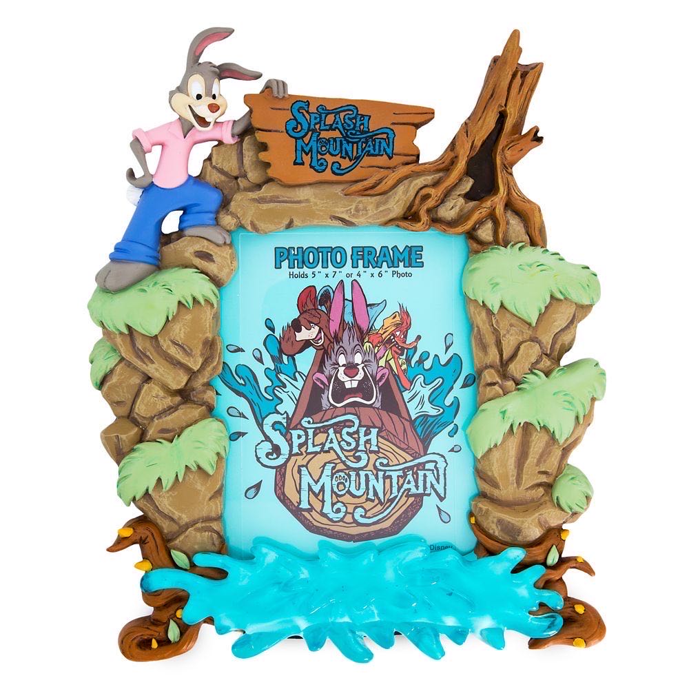 Splash Mountain Walt Disney World Sculpted Photo Frame (2020)