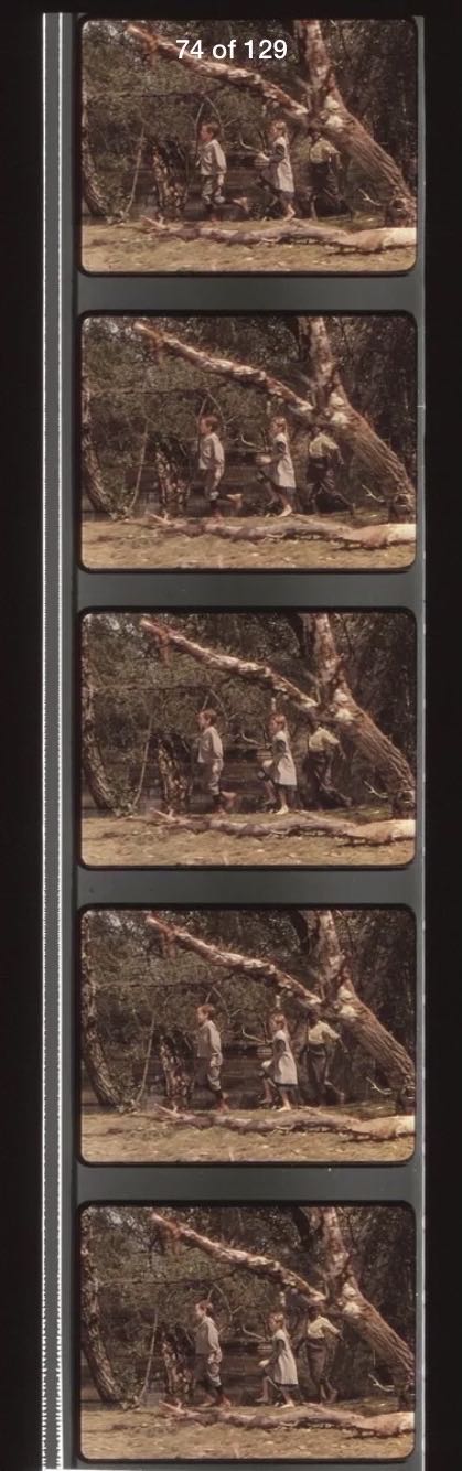 Song of the South 35mm Film Strip (01hr31m57s)