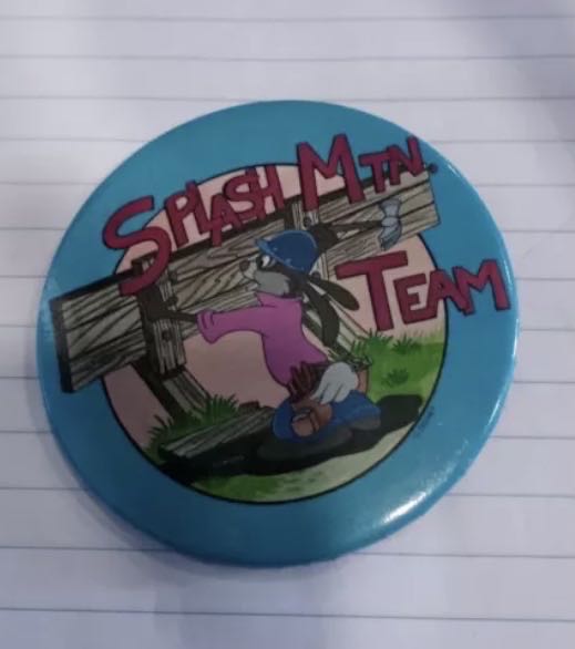 Splash Mountain WDI Team Button