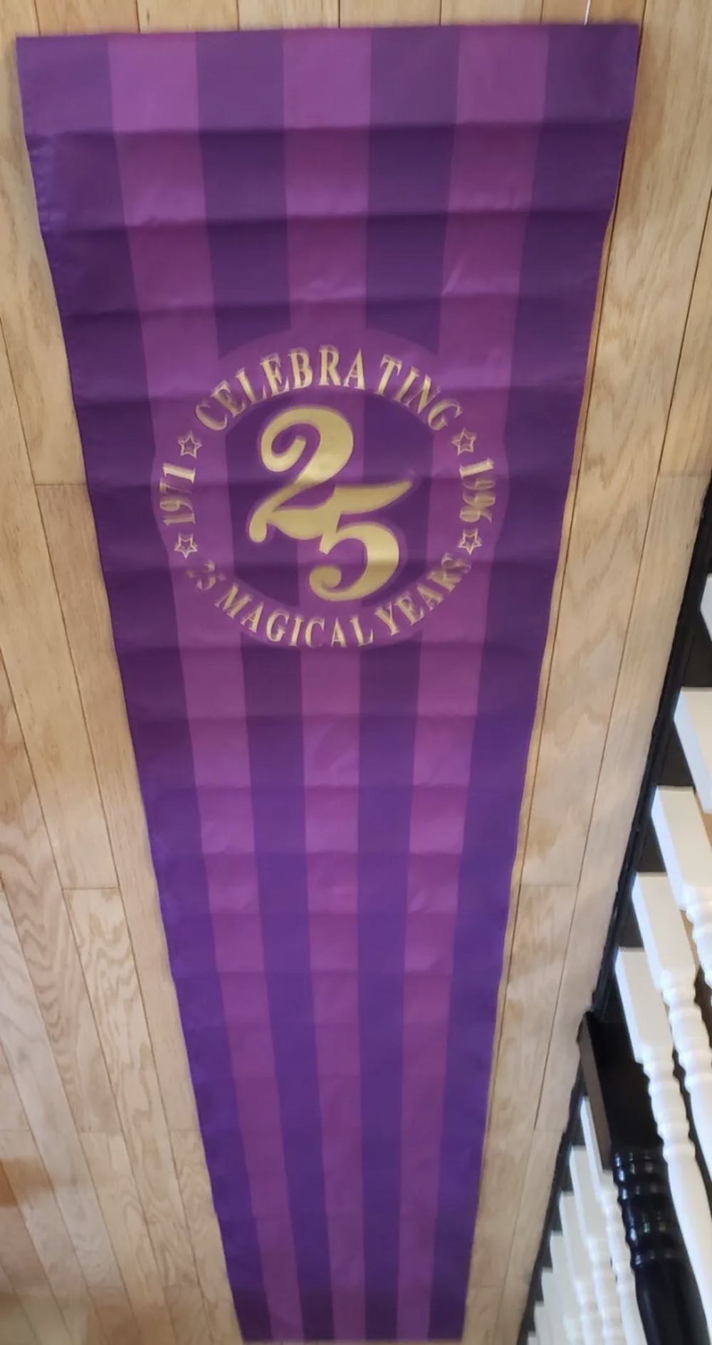 Walt Disney World 25th Anniversary Magic Kingdom Banner Prop (1996)