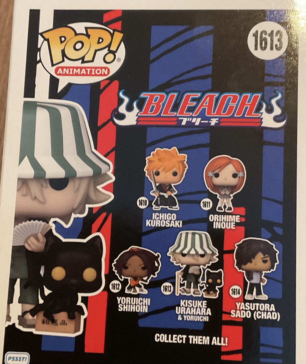 Kisuke Urahara and Yoruichi - Bleach vinyl figure collectible - Main Image 3