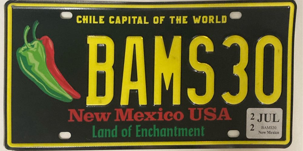 Doctor Collector Collectable Outatime Back To The Future License Plate Replica