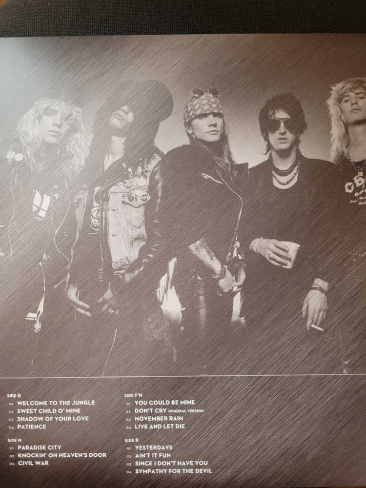 Guns N’ Roses - Greatest Hits  vinyl figure collectible - Main Image 2