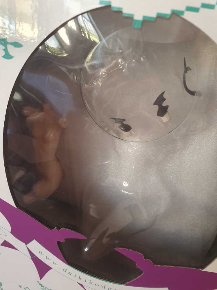 Character Deluxe Original Character 1 6 Pvc 1 6 Daiki Kougyou Chan Liith Daiki Riisu Liithe The Succubus Lilith  vinyl figure collectible [Barcode 4582261372776] - Main Image 4