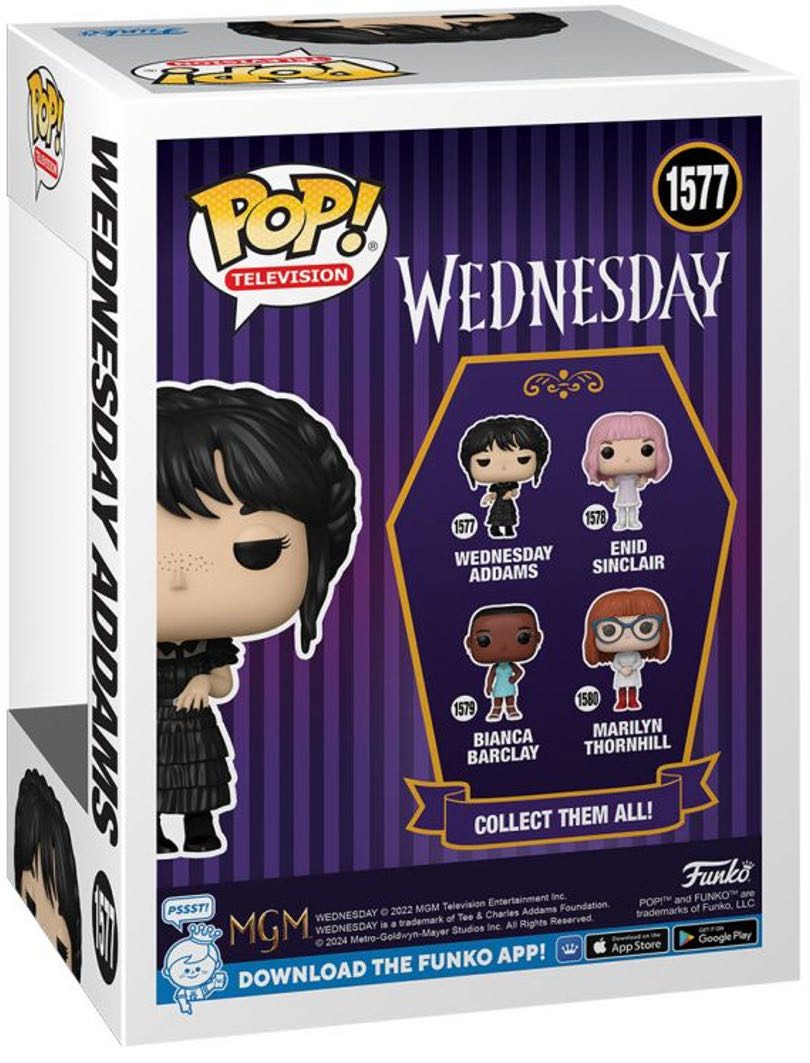 Wednesday Addams  vinyl figure collectible - Main Image 2