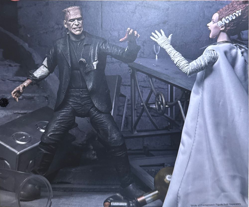 Frankenstein - Universal Monsters vinyl figure collectible [Barcode 634482048290] - Main Image 3