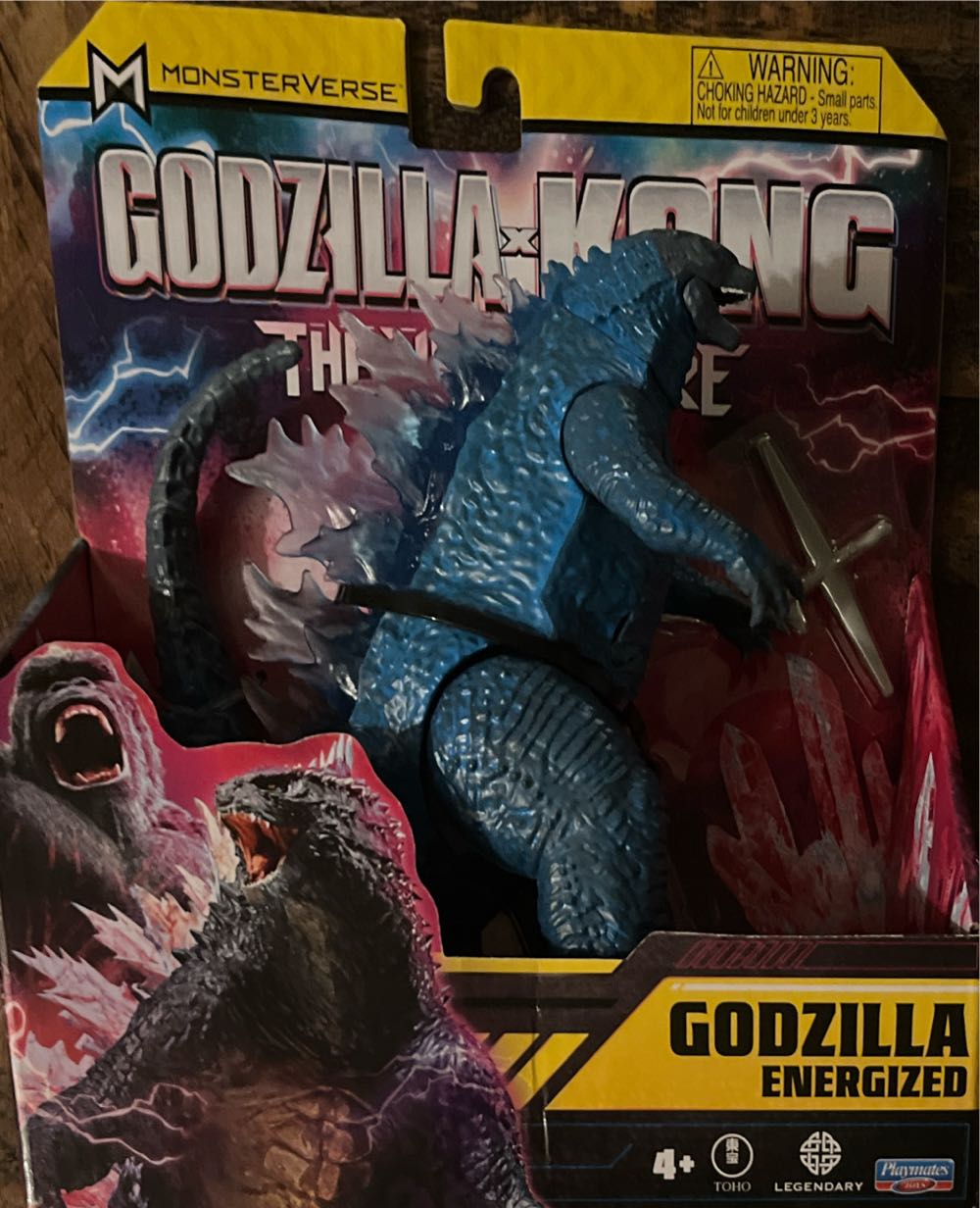 Pokemon Alolan Raichu (1011)