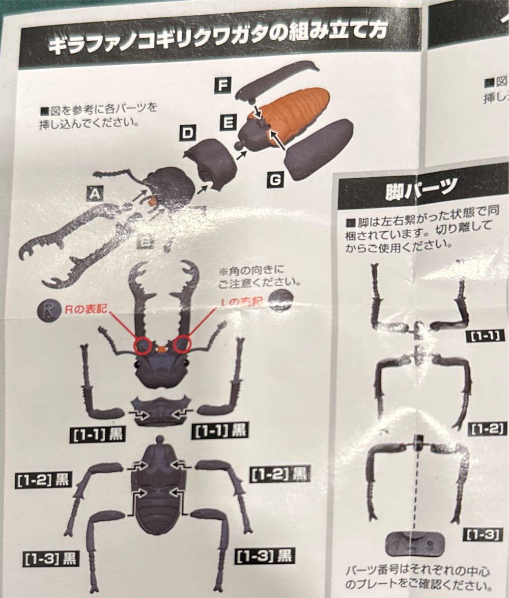 Modeling Beetle  vinyl figure collectible [Barcode 4570198772271] - Main Image 2