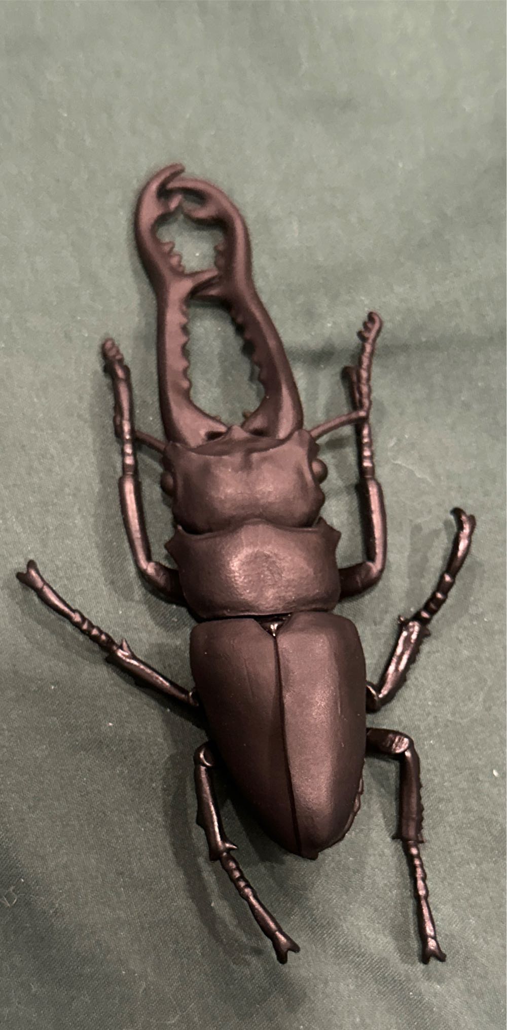 Modeling Beetle  vinyl figure collectible [Barcode 4570198772271] - Main Image 4