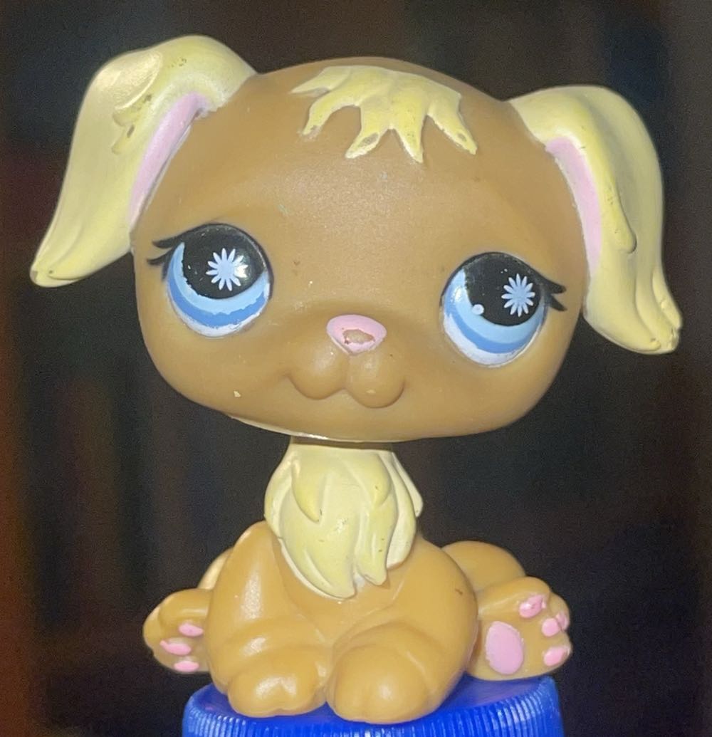 Pokémon Collection Iono