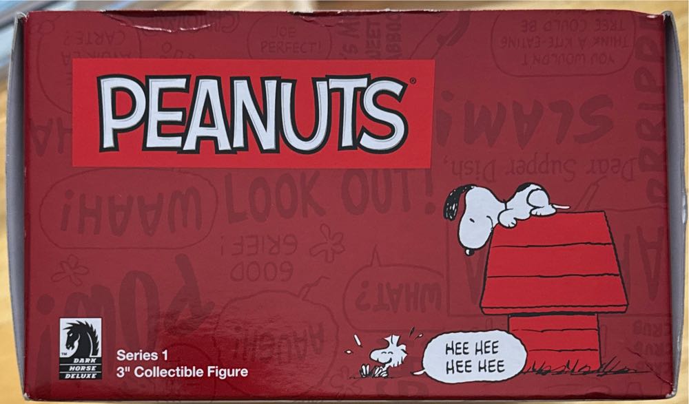 Qee X Peanuts Snoopy Series 1 Display Case  vinyl figure collectible [Barcode 761568308389] - Main Image 2