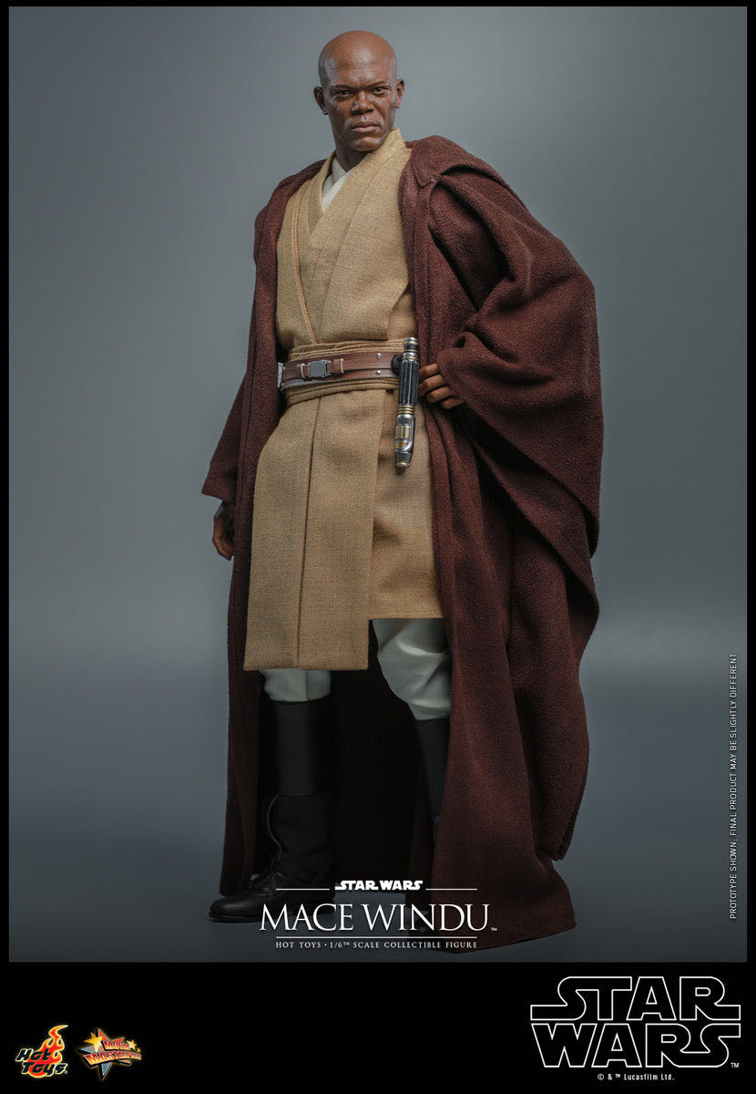 Mace Windu Hot Toys  vinyl figure collectible - Main Image 2