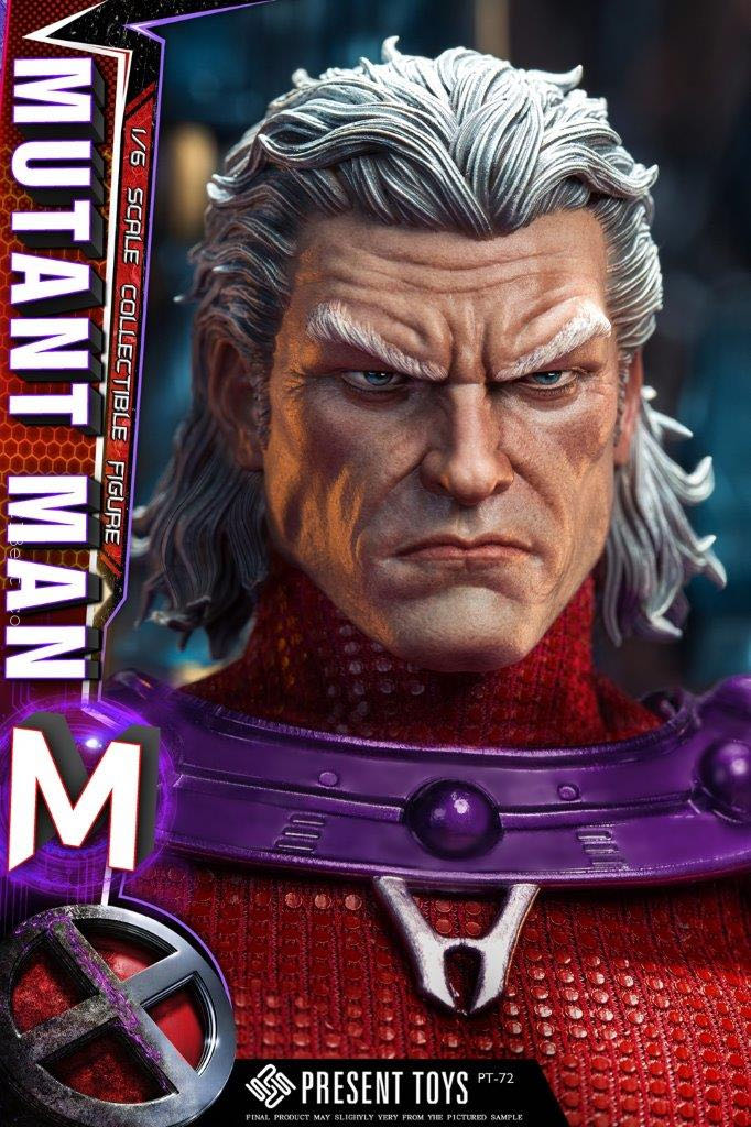 Present Toys Magneto  vinyl figure collectible - Main Image 2
