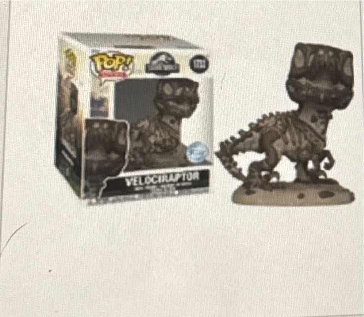 Good Bugs for Your Garden