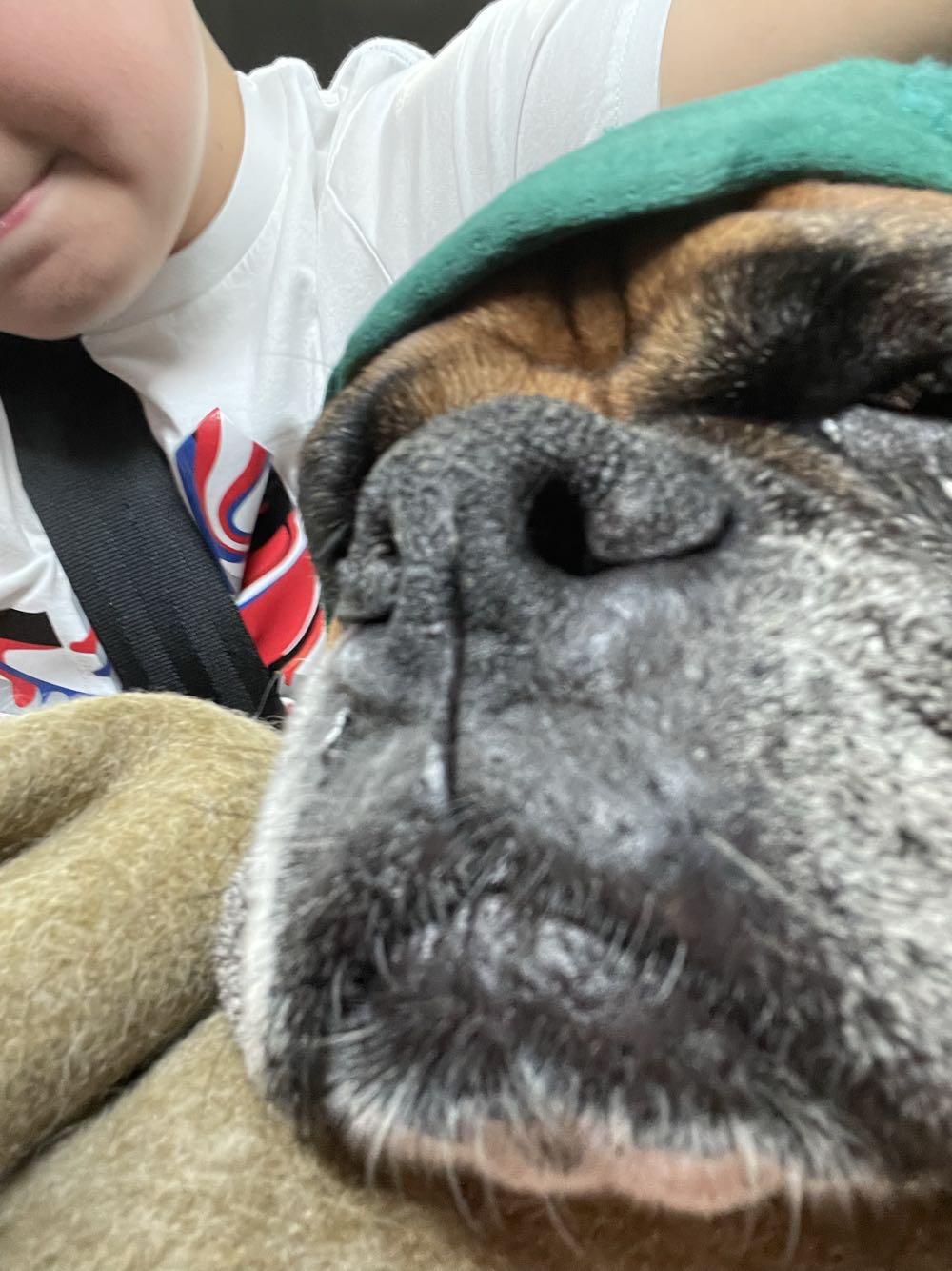 Bella Boor  vinyl figure collectible - Main Image 2