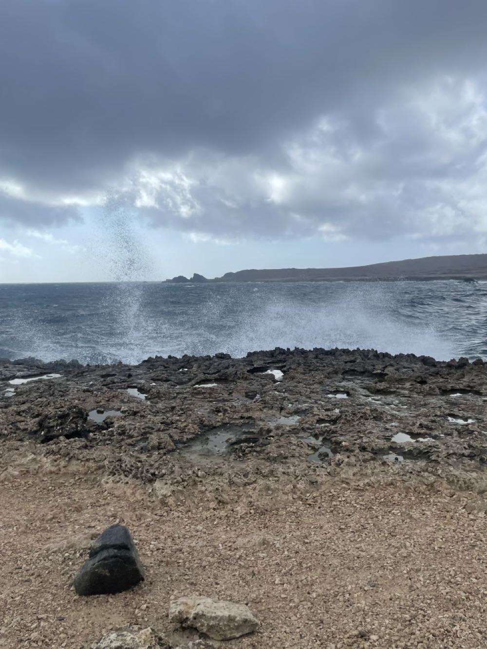 Bella Boor  vinyl figure collectible - Main Image 3