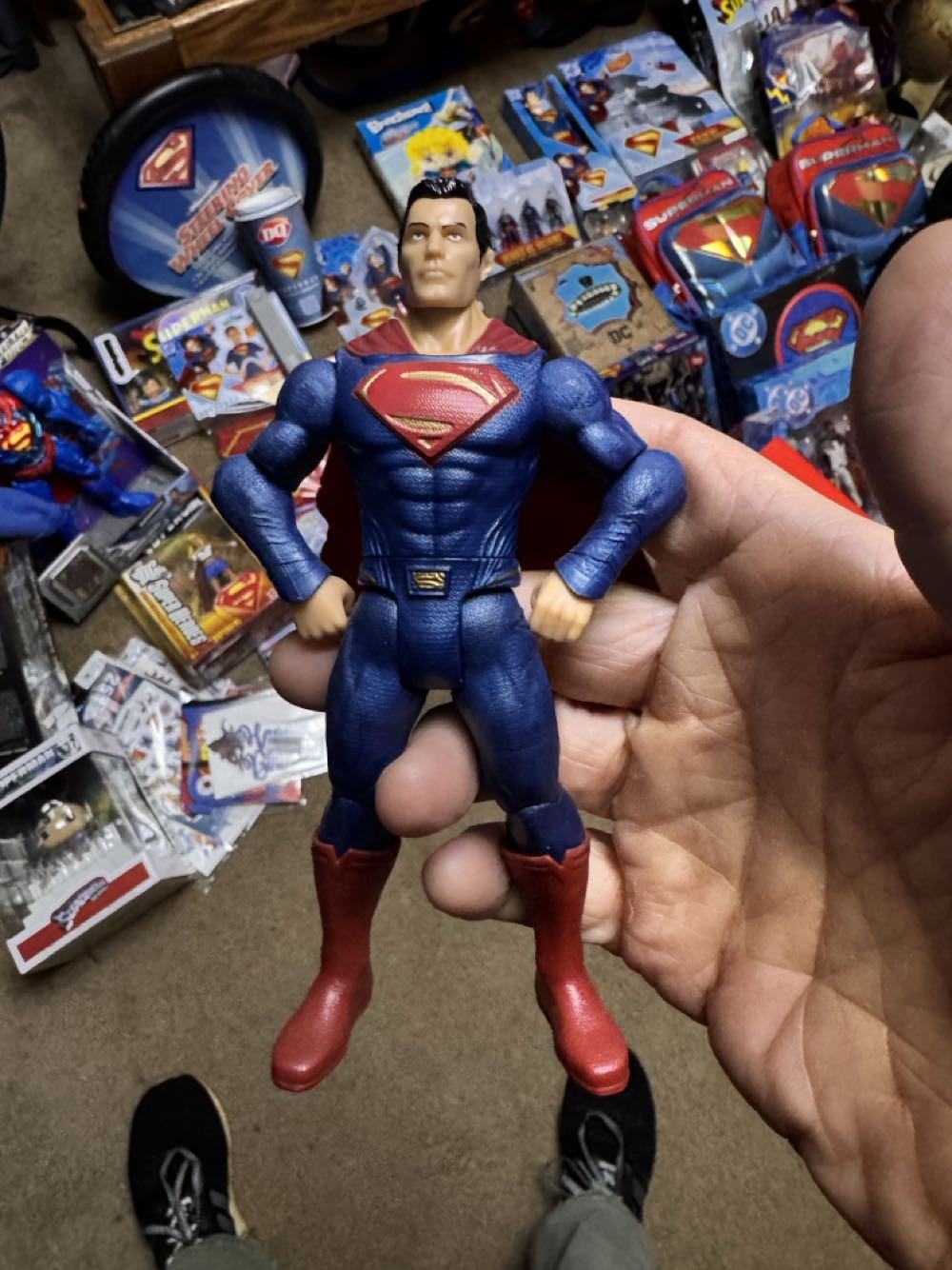 The Swallowtail Butterflies of North America