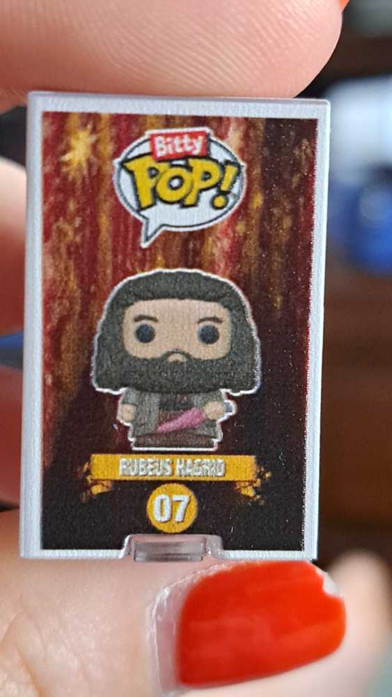Harry Potter: Rubeus Hagrid - Harry Potter vinyl figure collectible - Main Image 3