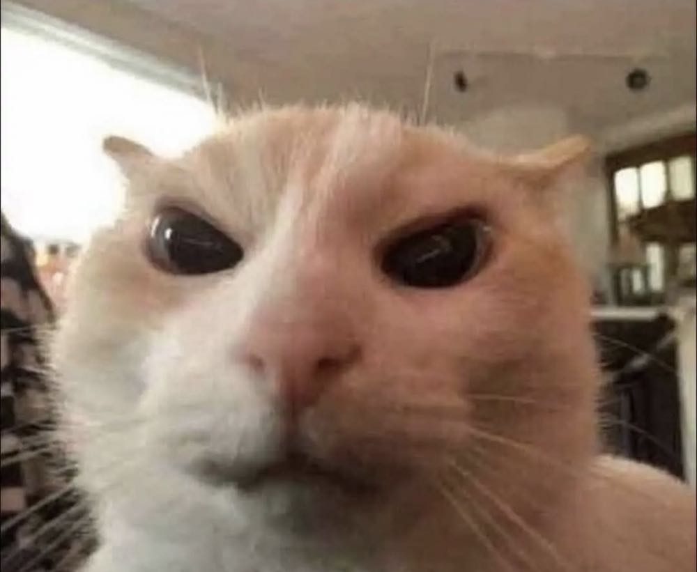 Predator #620 Fugitive Predator BLACK