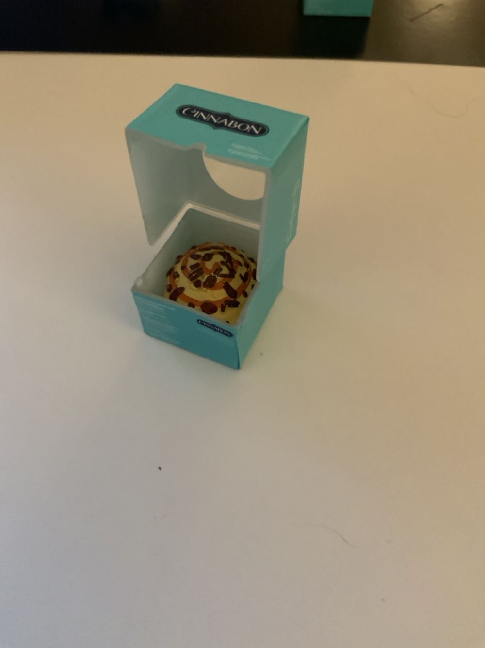 Rey Hologram Doorable