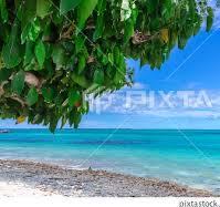 LEGO Star Wars: The Complete Saga