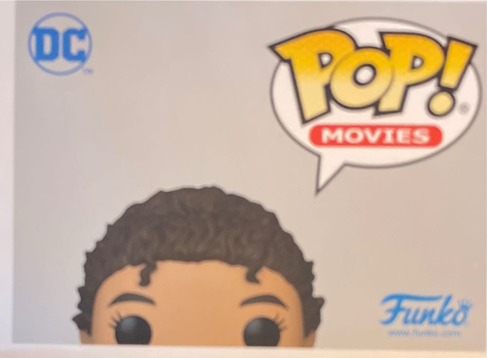 Iris West - DC Universe vinyl figure collectible [Barcode 889698656009] - Main Image 2