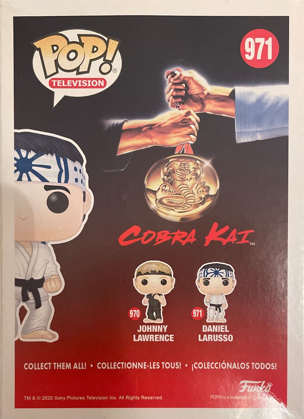 Daniel Larusso - Cobra Kai vinyl figure collectible [Barcode 889698469272] - Main Image 3