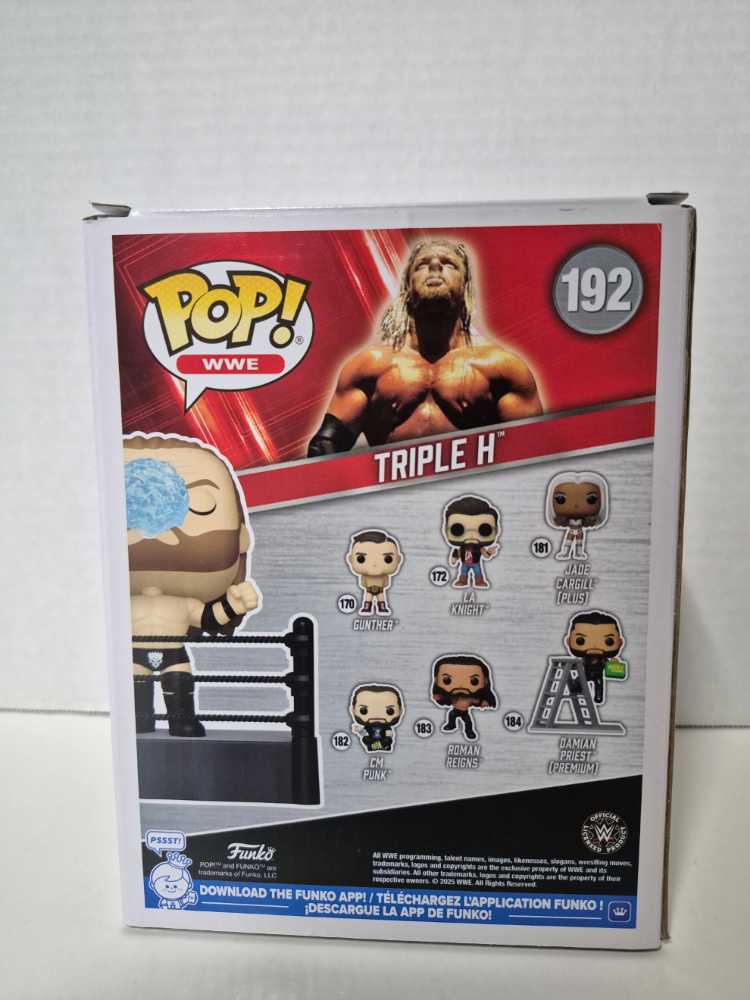 Triple H - WWE vinyl figure collectible [Barcode 889698863957] - Main Image 2