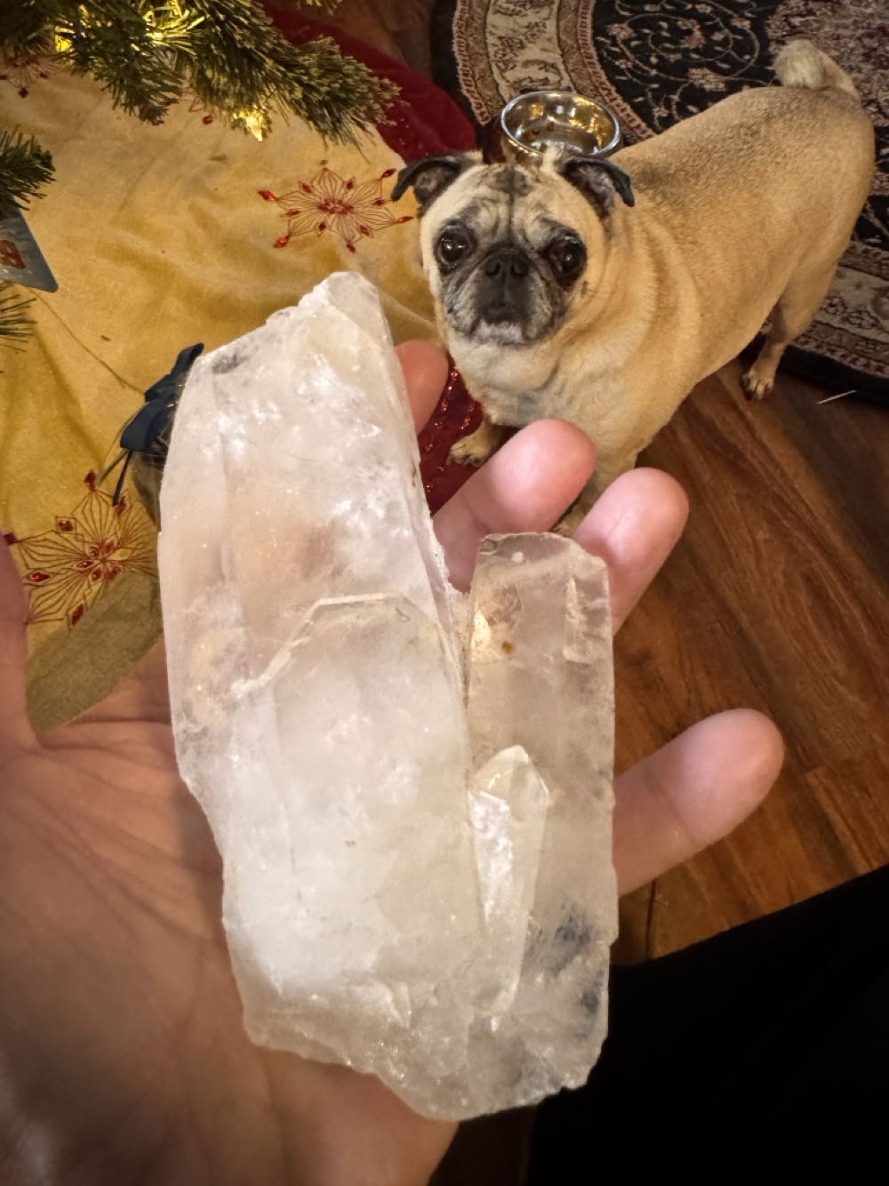 Predator Classic Video Game 7” Scale Action Figure