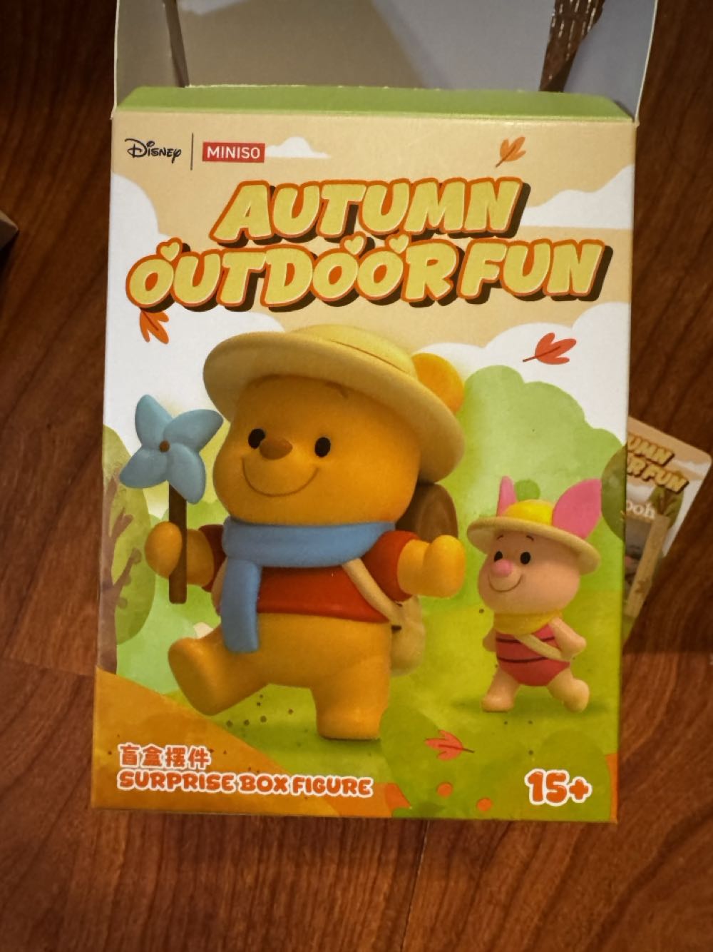 Winnie The Pooh & Piglet (A), Miniso Autumn Outdoor Fun - Winnie the Pooh vinyl figure collectible [Barcode 6942460425181] - Main Image 4