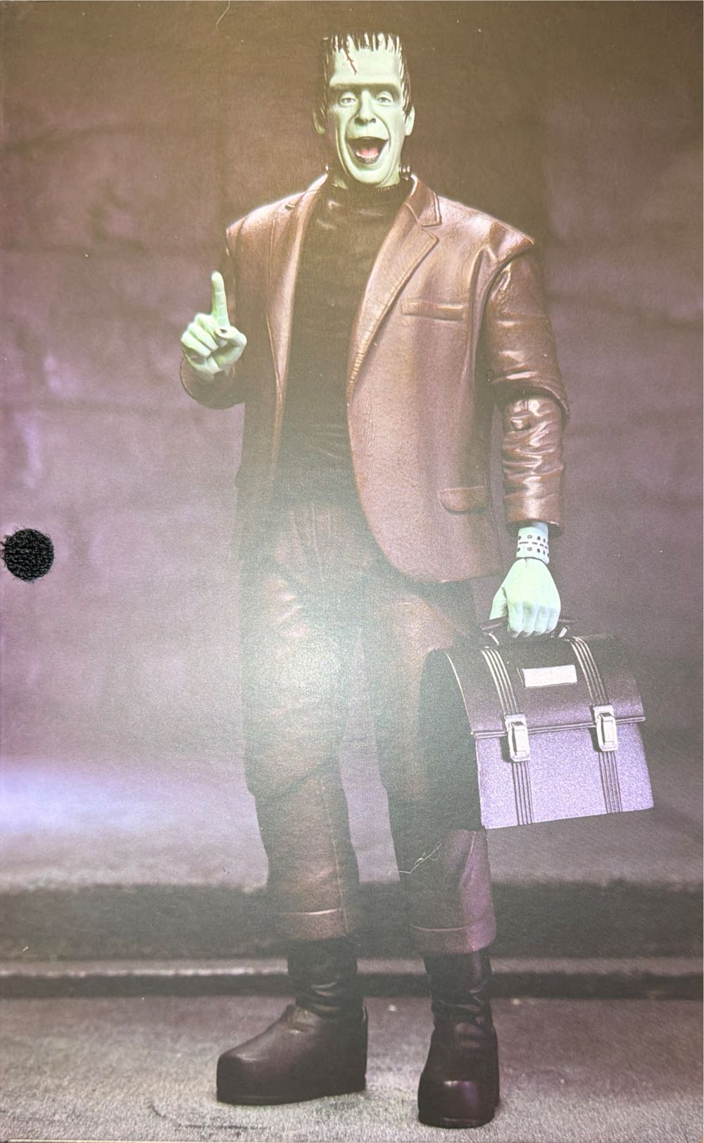 Herman Munster  vinyl figure collectible [Barcode 634482560907] - Main Image 3